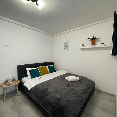 Cozy Studio Apartament Zalău Dış mekan fotoğraf
