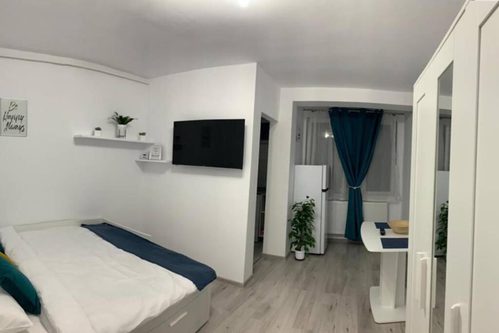 Cozy Studio Apartament Zalău Dış mekan fotoğraf