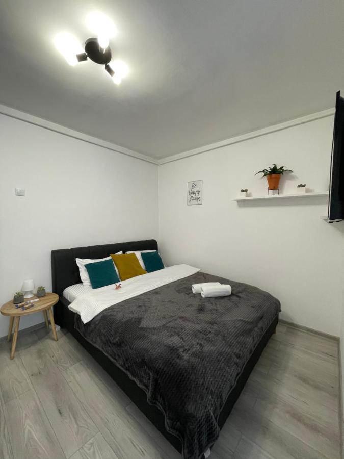 Cozy Studio Apartament Zalău Dış mekan fotoğraf